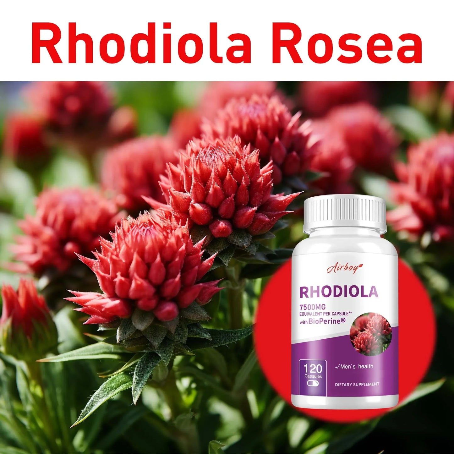 Stress-Free Energy Boost Capsules